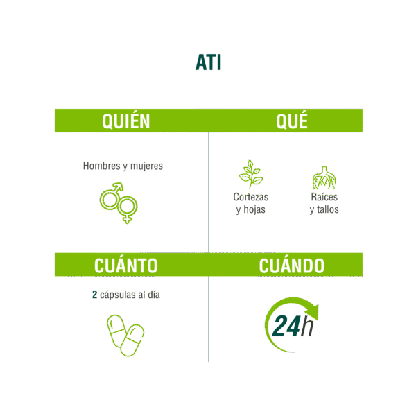 ATI 90 cápsulas | Adaptoheal® - Imagen 4