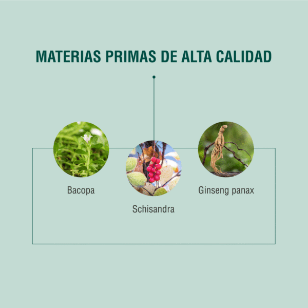 CCM 90 cápsulas | Adaptoheal® - Imagen 3