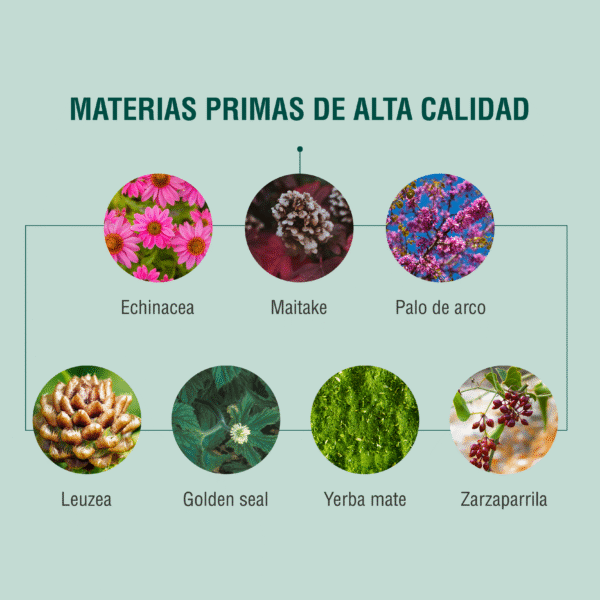 CND 90 cápsulas | Adaptoheal® - Imagen 3