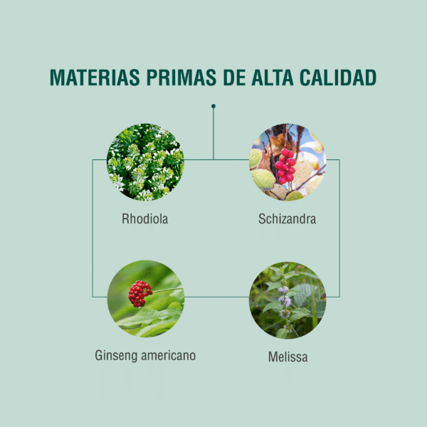 ES3 90 cápsulas | Adaptoheal® - Imagen 3
