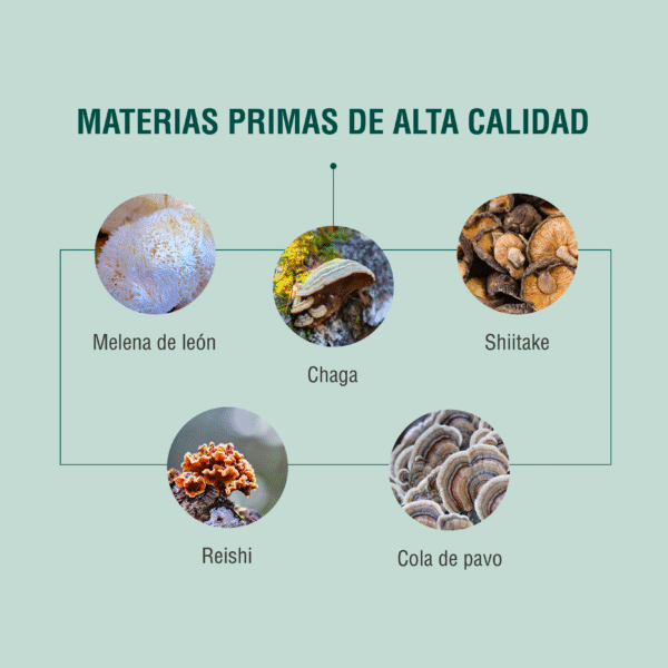 HGS 90 cápsulas | 500mg Adaptoheal® - Imagen 3