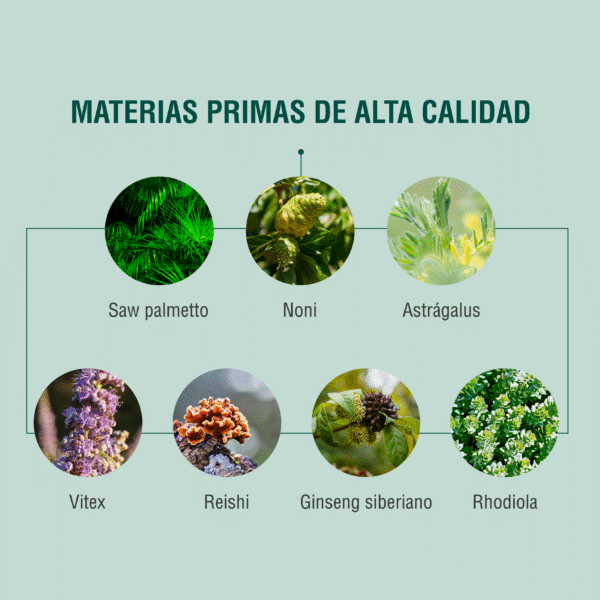 TRD 90 cápsulas | Adaptoheal® - Imagen 3