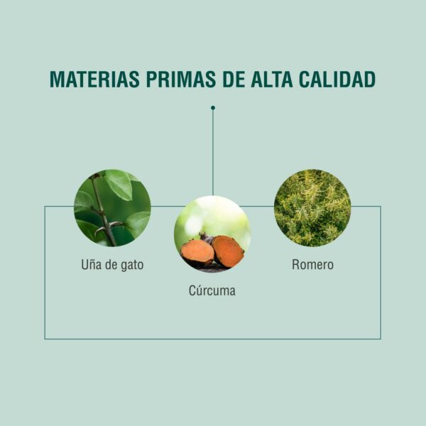 ATI 90 cápsulas | Adaptoheal® - Imagen 3