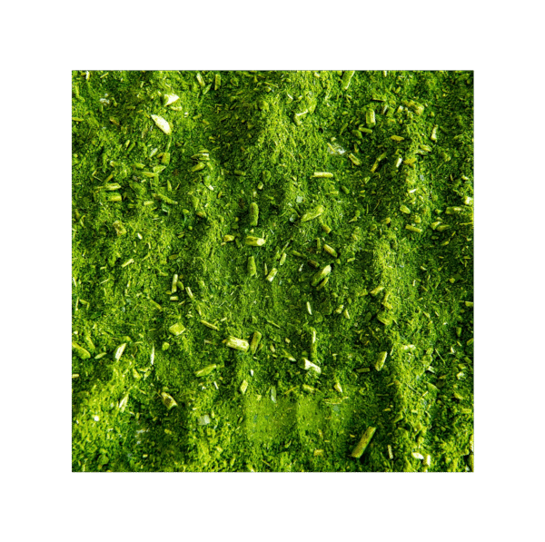 Yerba Mate 150 cápsulas | 500mg Adaptoheal® - Imagen 4