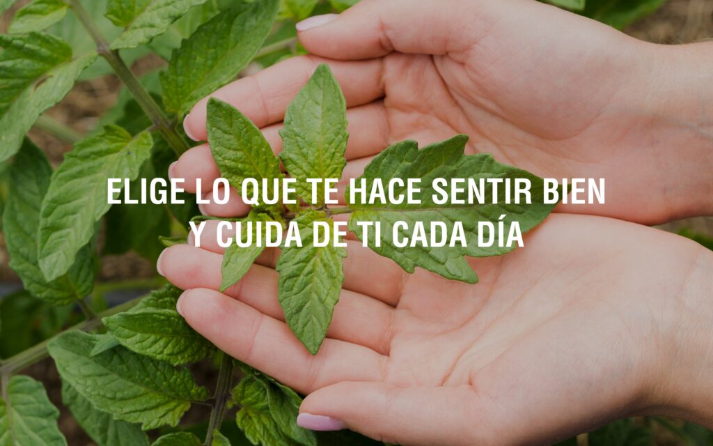 Sustitutos_Azucar